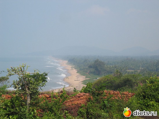 ����� 2010, ������: �����������..