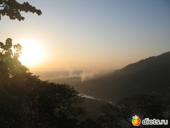 ������� 2010, ������: �����������..