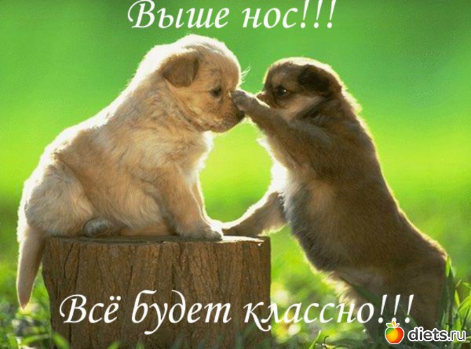 1 фото: ОТКРЫТКИ