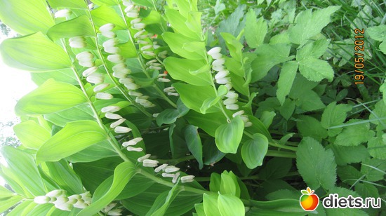 2 ����: ������� �������