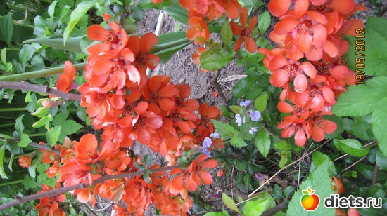 3 ����: ������� �������