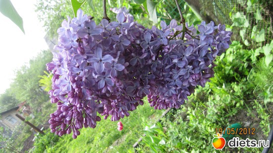 4 ����: ������� �������