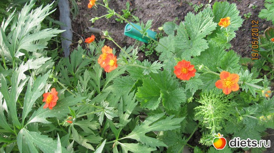 6 ����: ������� �������