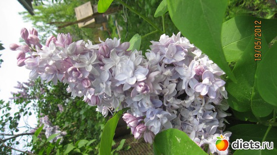 9 ����: ������� �������