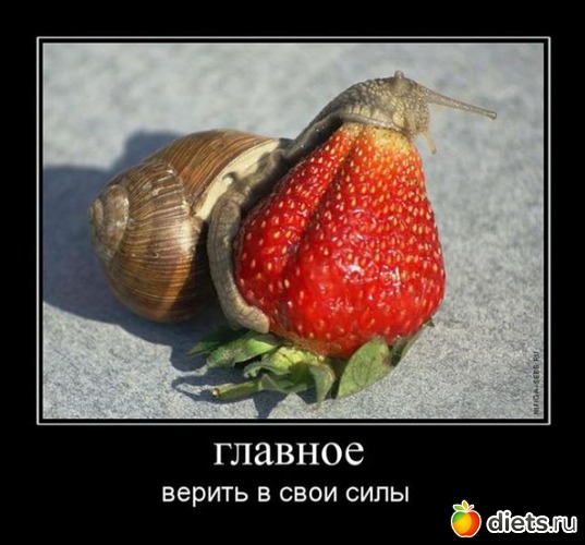 5 ����: ������ ������������ ��� ��� - ���������� ����))))