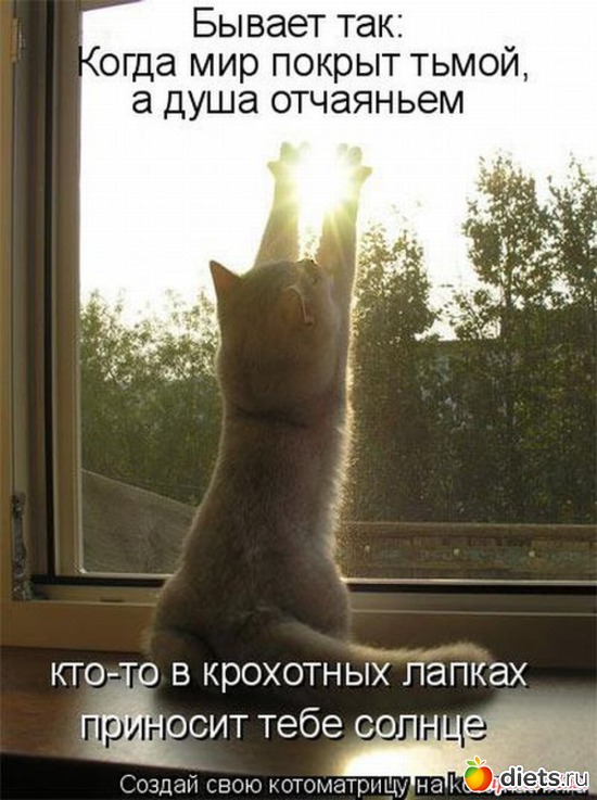 12 фото: ОТКРЫТКИ