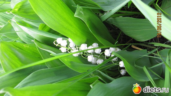 1 ����: ������� �������