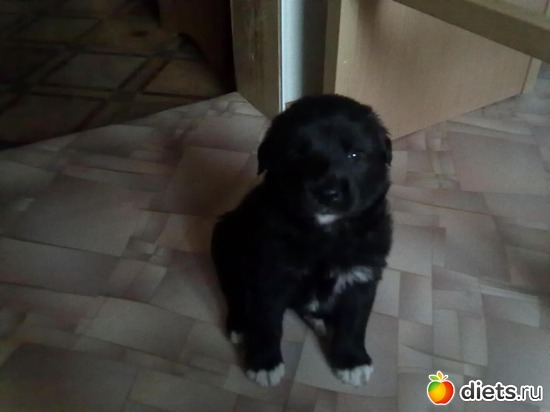 11 ����: ������ ���