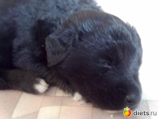 12 ����: ������ ���