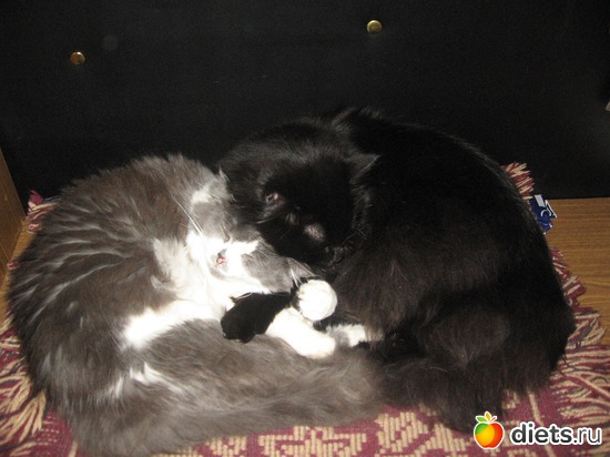 ������� �� �����, ������: �������