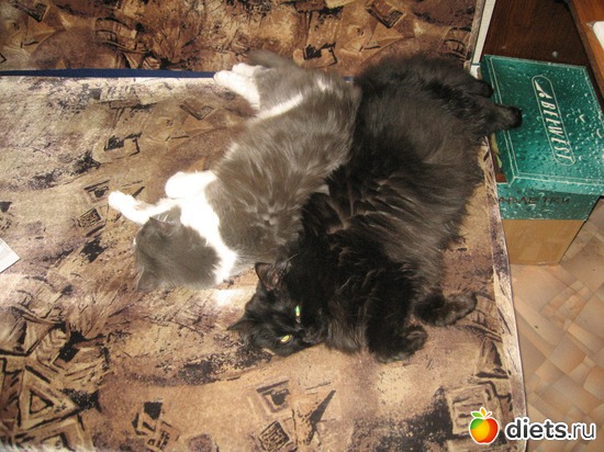 ��� � ���, ������: �������