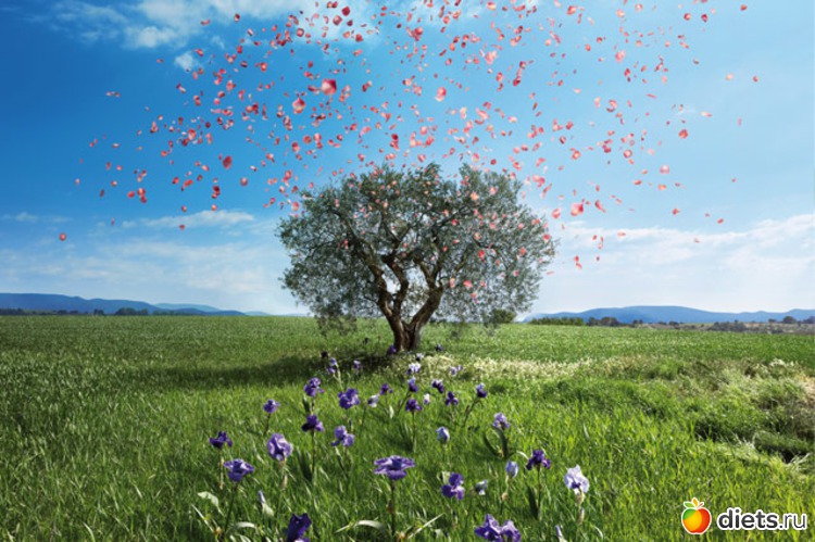 2 ����: ������, ���������� ����