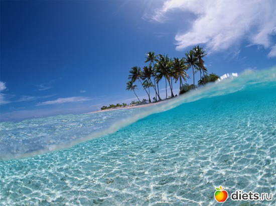 4 ����: ������, ���������� ����