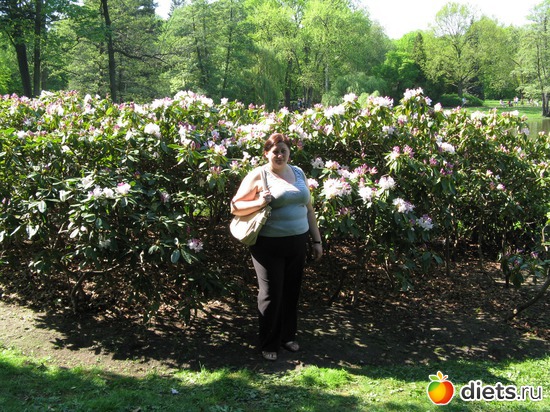 1 ����: ���������� ��������