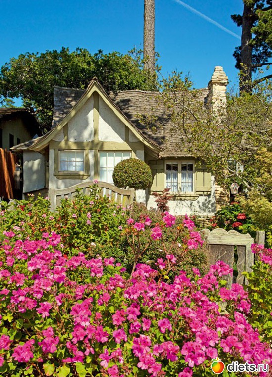 6 ����: ������, ���������� ����