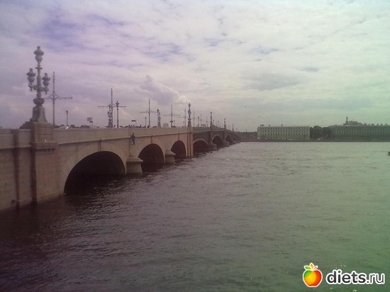 4 фото: Летний сад Петербурга