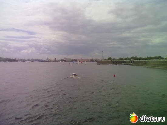 6 фото: Летний сад Петербурга