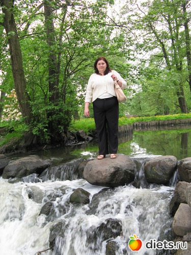 5 ����: ���������� ��������