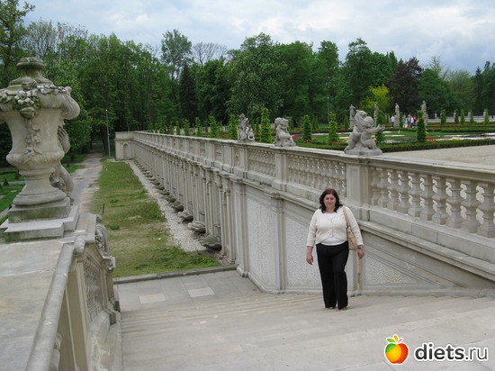 6 ����: ���������� ��������