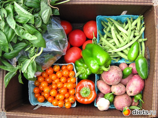 9 ����: ������, ���������� ����