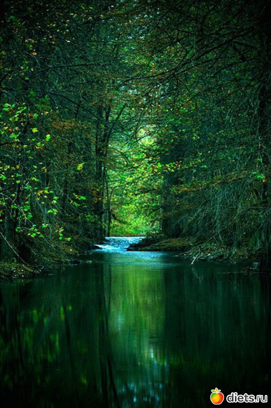 10 ����: ������, ���������� ����