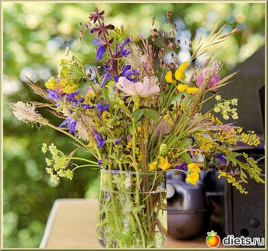 11 ����: ������, ���������� ����