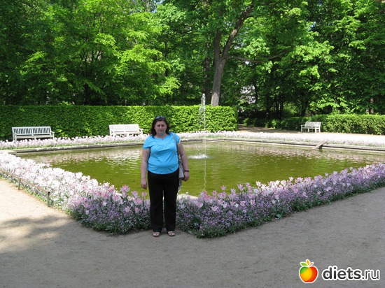 11 ����: ���������� ��������