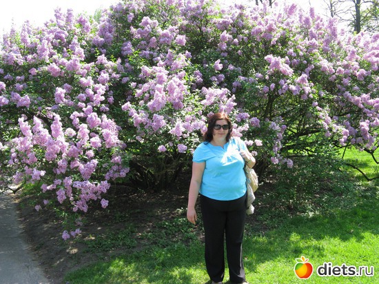 12 ����: ���������� ��������