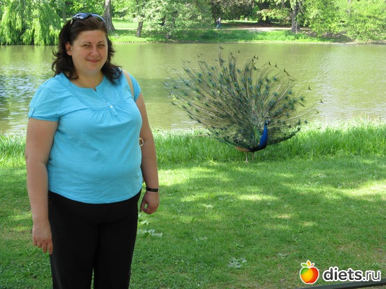 13 ����: ���������� ��������