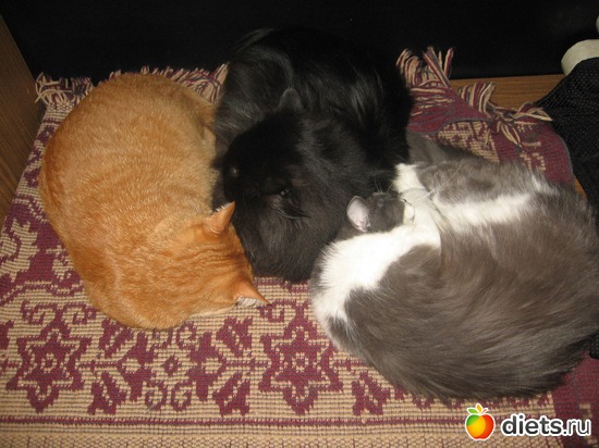 8 ����: �������