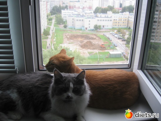 9 ����: �������