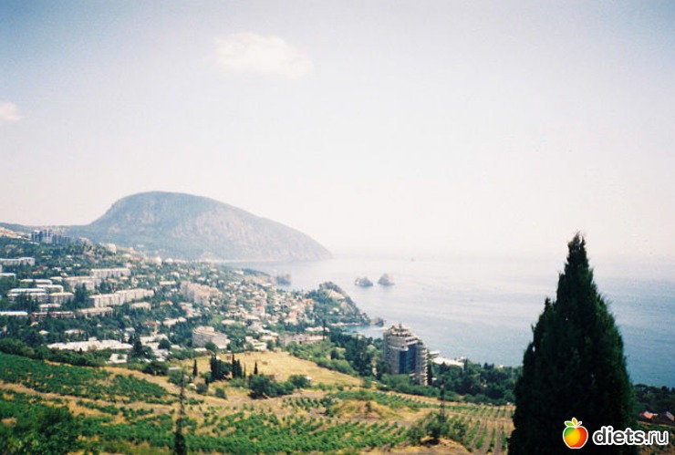 ��� �� ������, ������: ����