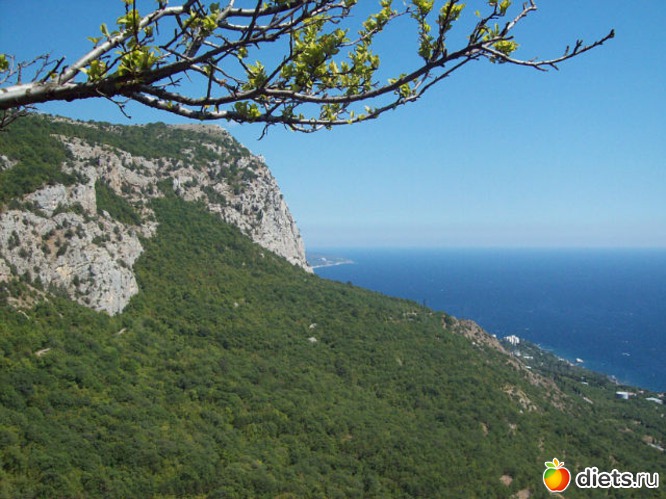 �.��-���, ������: ����