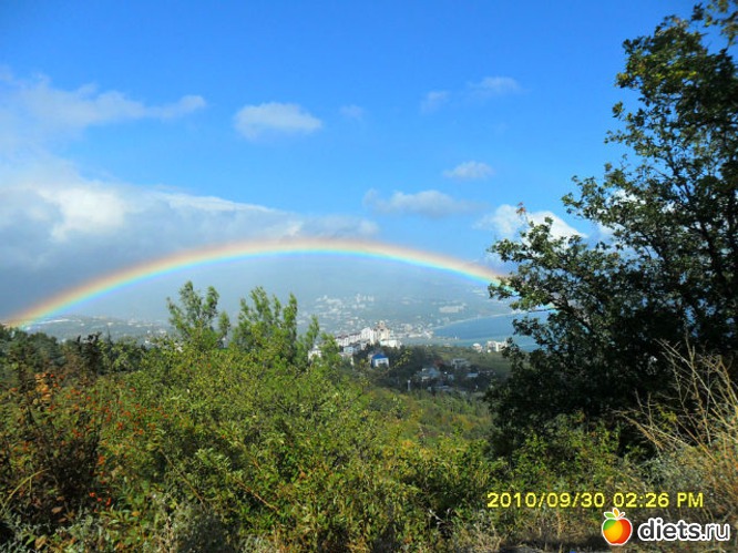 5 ����: ����