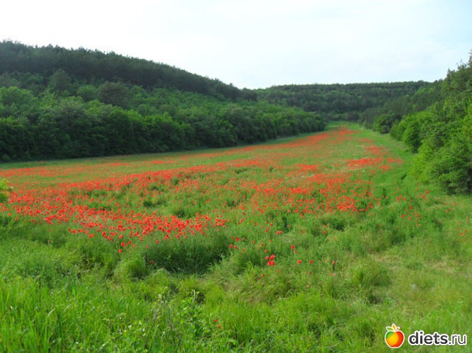 6 ����: ����