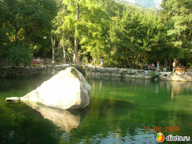 ���� � ����� ������������� ������, ������: ����