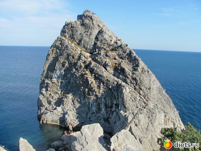 ������ �., ������: ����