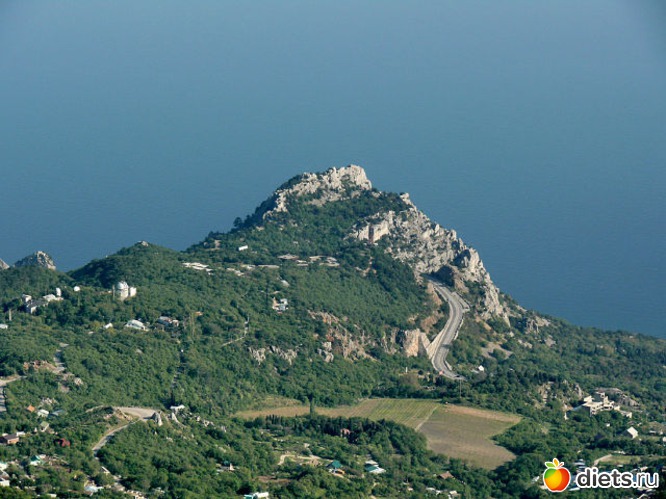 ������ �.�����, ������: ����