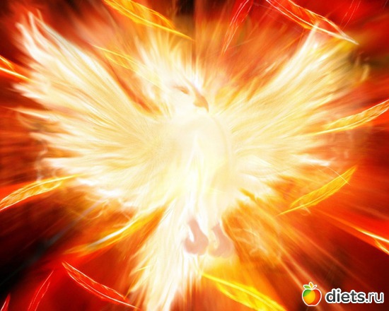 ��� �����, ������: ��������