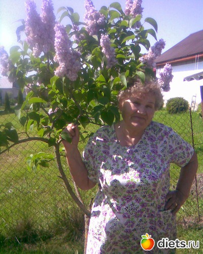 Моя мама...Плыл над городом запах сирени..., альбом: У меня в садочке.
