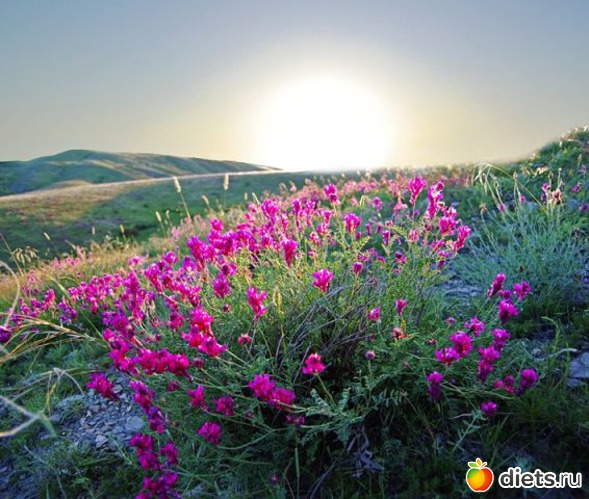 47 фото: Крым