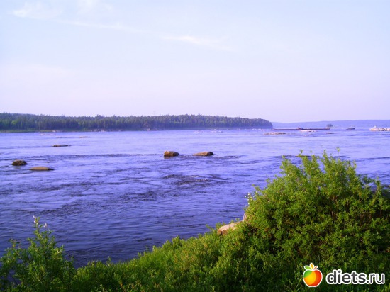 1 фото: Прогулки