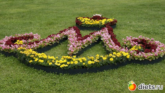 18 ����: ������������� ���� ������ 2012