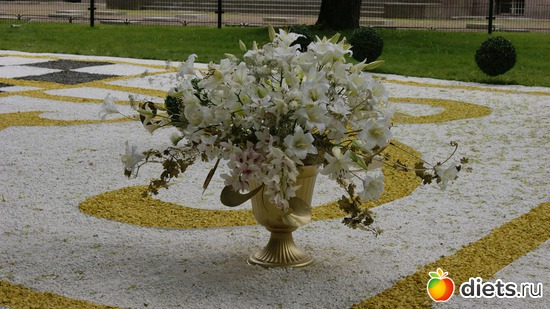 28 ����: ������������� ���� ������ 2012