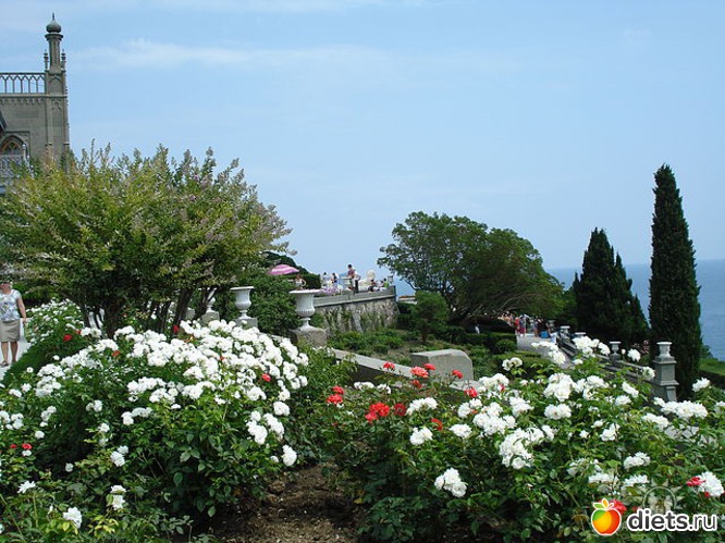 парк воронц .дворца, альбом: Крым