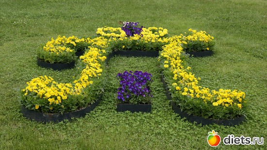 34 ����: ������������� ���� ������ 2012