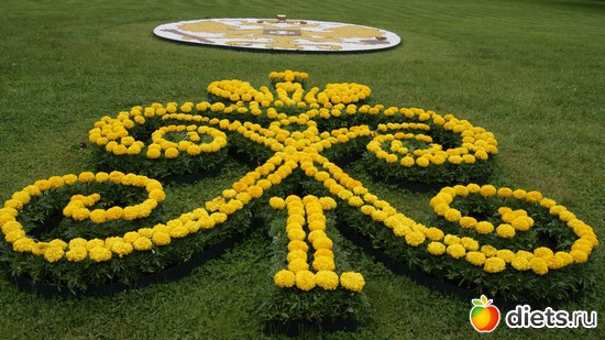 35 ����: ������������� ���� ������ 2012