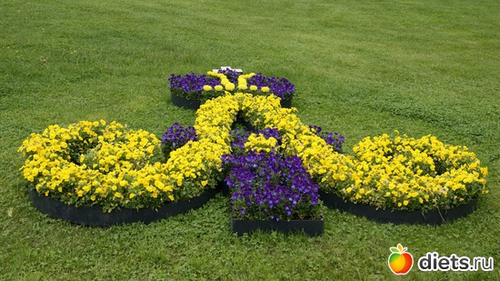 37 ����: ������������� ���� ������ 2012