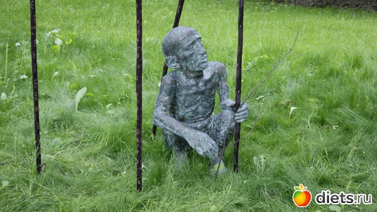 43 ����: ������������� ���� ������ 2012