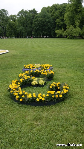 36 ����: ������������� ���� ������ 2012